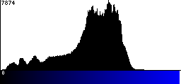Blue Histogram