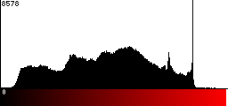 Red Histogram