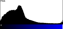 Blue Histogram