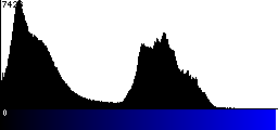 Blue Histogram