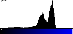 Blue Histogram