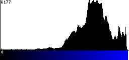 Blue Histogram
