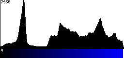 Blue Histogram