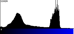 Blue Histogram