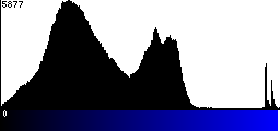 Blue Histogram
