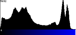 Blue Histogram