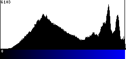 Blue Histogram