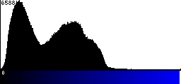 Blue Histogram