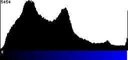 Blue Histogram