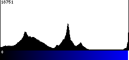Blue Histogram