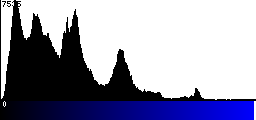 Blue Histogram