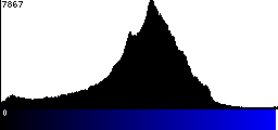 Blue Histogram