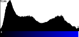 Blue Histogram