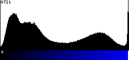 Blue Histogram