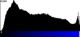 Blue Histogram