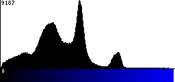 Blue Histogram