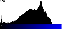 Blue Histogram