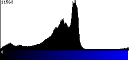 Blue Histogram