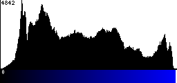 Blue Histogram
