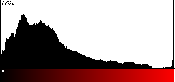 Red Histogram
