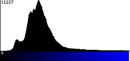 Blue Histogram