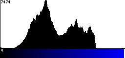 Blue Histogram