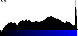 Blue Histogram