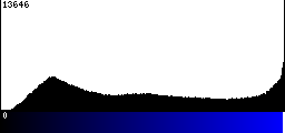 Blue Histogram