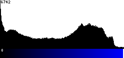 Blue Histogram
