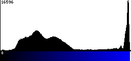 Blue Histogram