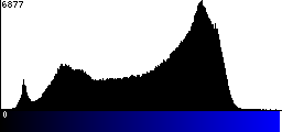 Blue Histogram