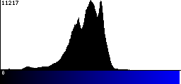 Blue Histogram