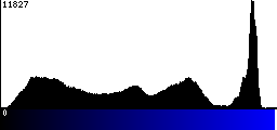 Blue Histogram