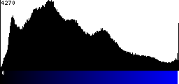Blue Histogram