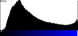 Blue Histogram