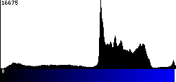 Blue Histogram