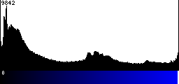 Blue Histogram