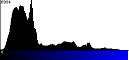 Blue Histogram
