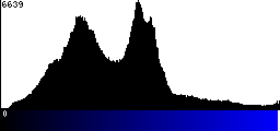Blue Histogram