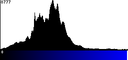 Blue Histogram