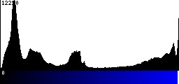 Blue Histogram