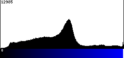 Blue Histogram
