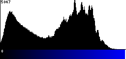 Blue Histogram