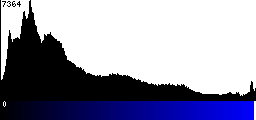 Blue Histogram