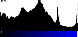 Blue Histogram