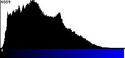 Blue Histogram