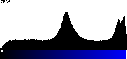 Blue Histogram