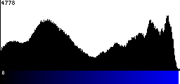 Blue Histogram