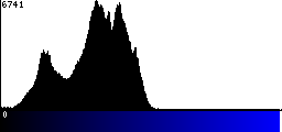 Blue Histogram
