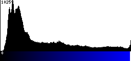 Blue Histogram